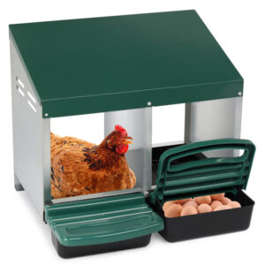 2-Compartment Chicken Nesting Box with Pitched Roof (Green)